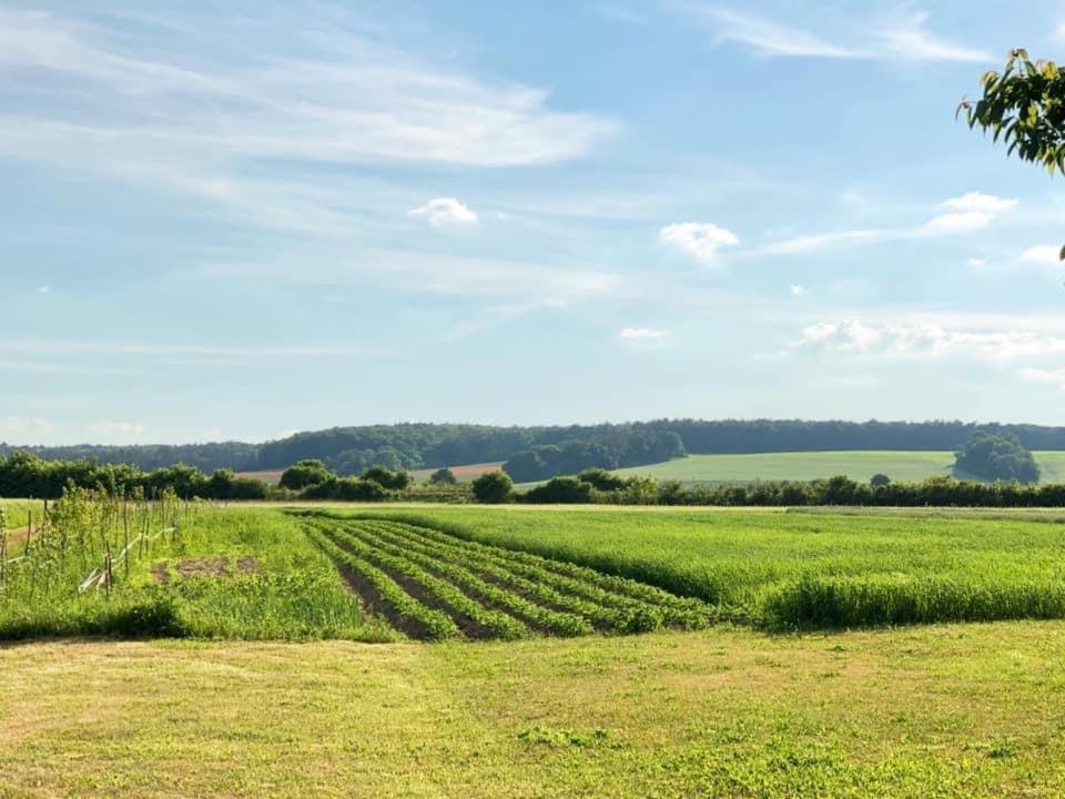 Agroturystyka „Nadbuzanski Swit” Wola Uhruska Exterior photo